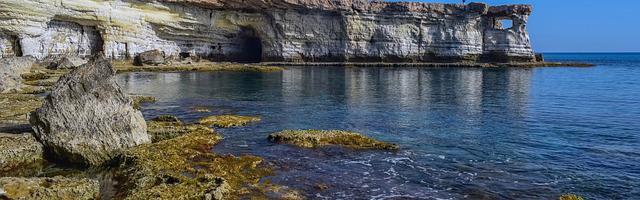 上門龍婿葉辰蕭初然_第1843章 定一套游戲規則