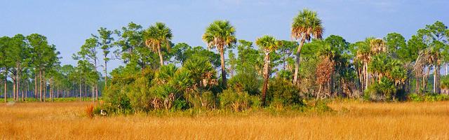 上門龍婿葉辰蕭初然_第241章 大快人心！