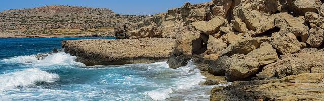 上門龍婿葉辰蕭初然_第3288章 狗莊