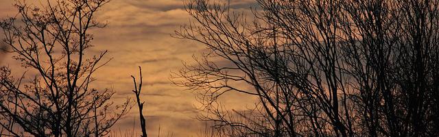 上門龍婿葉辰蕭初然_第212章 叫人弄死他！