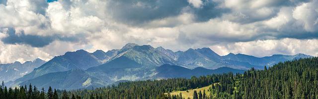 上門龍婿葉辰蕭初然_第2499章 那就試試看