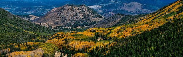 上門龍婿葉辰蕭初然_第96章 蕭初然想換房子