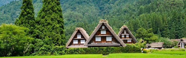 上門龍婿葉辰蕭初然_第2393章 你怎么會在這里？