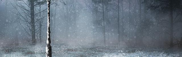 上門龍婿葉辰蕭初然_第946章 擺譜