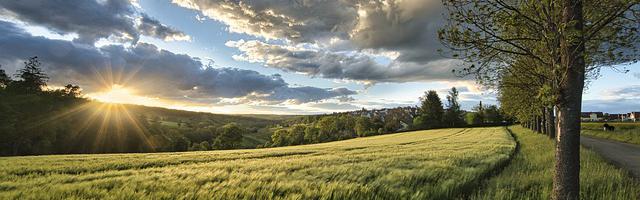 上門龍婿葉辰蕭初然_第846章 忍那小子一波