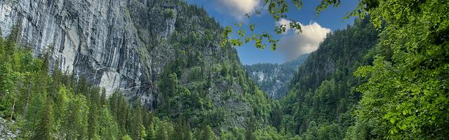 上門龍婿葉辰蕭初然_第414章 偷他一波！