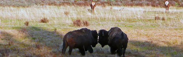 上門龍婿葉辰蕭初然_第2768章 我是他的兒子！