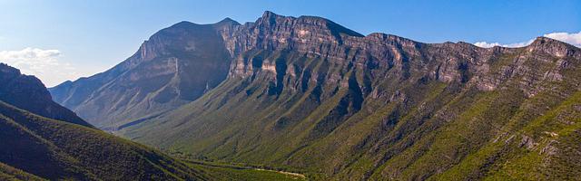 上門龍婿葉辰蕭初然_第257章 極品雪參！