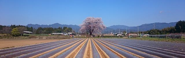 上門龍婿葉辰蕭初然_第392章 十個億！