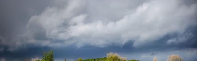 上門龍婿葉辰蕭初然_第35章 扮豬吃老虎