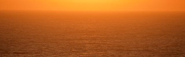 上門龍婿葉辰蕭初然_第3153章 你老板都著急了