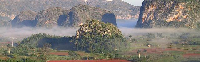 上門龍婿葉辰蕭初然_第2877章 不知路在何方