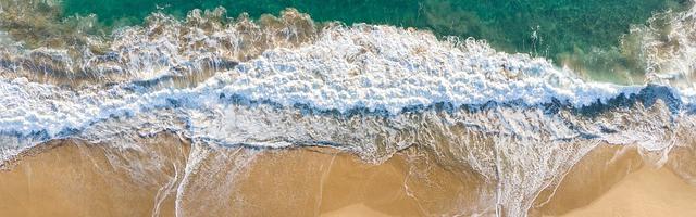 上門龍婿葉辰蕭初然_第450章 我要離婚！