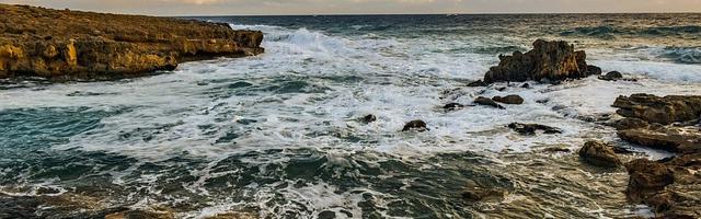 都市神醫葉辰很囂張_第12311章 四神獸（三合一）