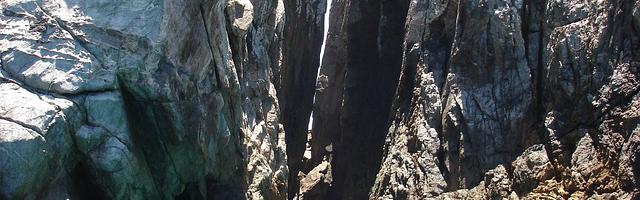 上門龍婿葉辰蕭初然_第1714章 誰敢不來，后果自負！