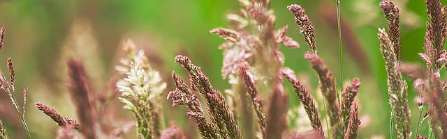 上門龍婿葉辰蕭初然_第198章 高俊偉的圈套