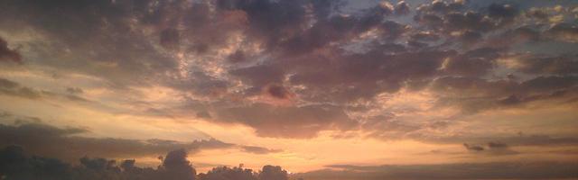 上門龍婿葉辰蕭初然_第969章 你連我都敢耍？！