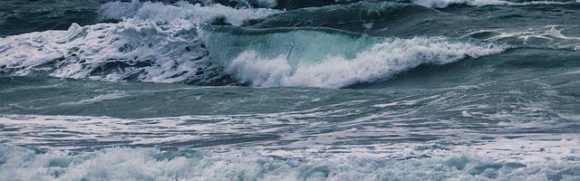 上門龍婿葉辰蕭初然_第3030章 葉辰害我！