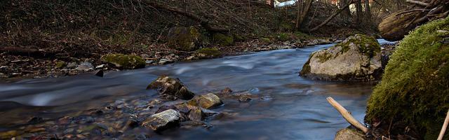 上門龍婿葉辰蕭初然_第3311章 背刺