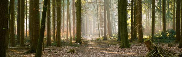 上門龍婿葉辰蕭初然_第642章 什么人這么有錢？！