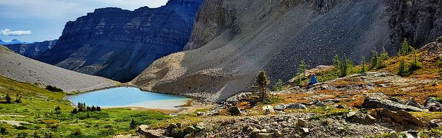 上門龍婿葉辰蕭初然_第2489章 最狡猾的狐貍