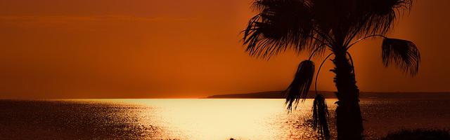 上門龍婿葉辰蕭初然_第397章 窘迫的蕭家