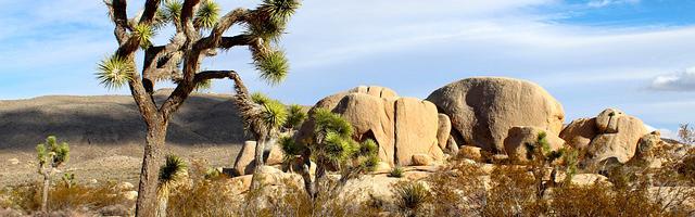 上門龍婿葉辰蕭初然_第3269章 瞧不起我？