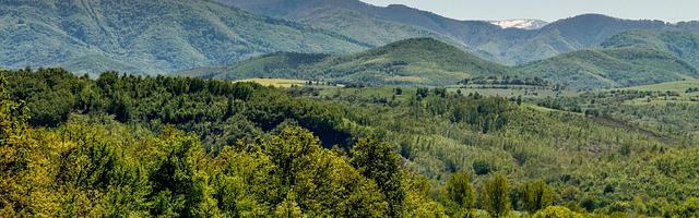 上門龍婿葉辰蕭初然_第1702章 安心上路吧！