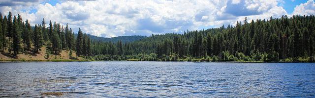 上門龍婿葉辰蕭初然_第612章 這幫人都是神經病嗎？！