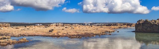 上門龍婿葉辰蕭初然_第471章 先把她打個半死！