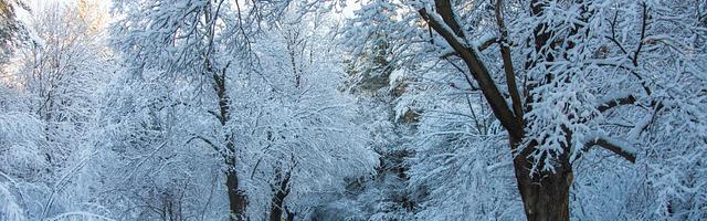 上門龍婿葉辰蕭初然_第3277章 我才是吃虧的那個