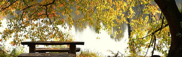 上門龍婿葉辰蕭初然_第708章 對手實力不俗