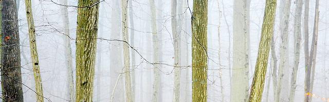 上門龍婿葉辰蕭初然_第730章 不希望被他瞧不起