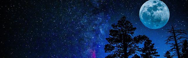 上門龍婿葉辰蕭初然_第57章 血絲玉