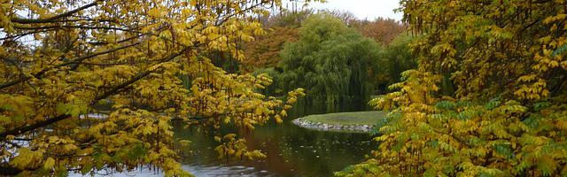 上門龍婿葉辰蕭初然_第239章 吳奇火了！