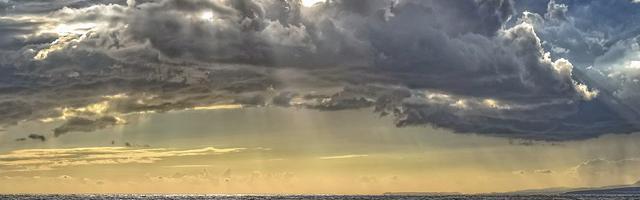 上門龍婿葉辰蕭初然_第53章 跪下，饒你狗命