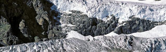 上門龍婿葉辰蕭初然_第152章 謝謝葉大師贈藥！