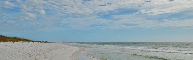 上門龍婿葉辰蕭初然_第2983章 今日，你必死！