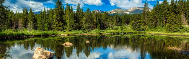 上門龍婿葉辰蕭初然_第477章 給我滾過來！