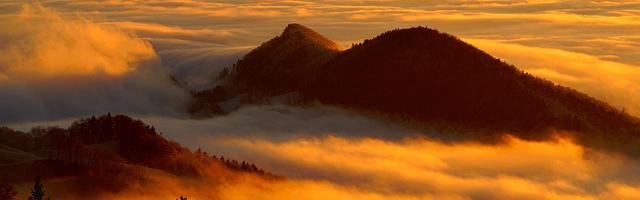 上門龍婿葉辰蕭初然_第101章 追著要送我