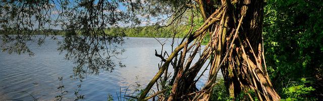 上門龍婿葉辰蕭初然_第3334章 震懾失敗