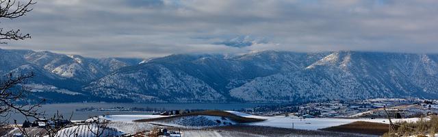 上門龍婿葉辰蕭初然_第3263章 不殺之恩