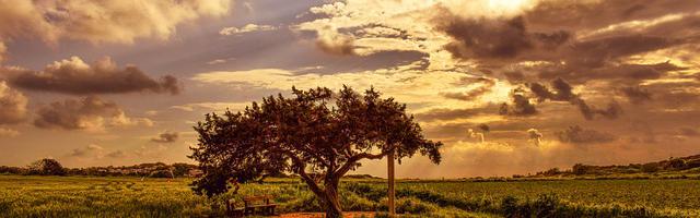 上門龍婿葉辰蕭初然_第2441章 浪子回頭