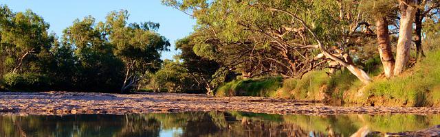 都市神醫葉辰很囂張_第12311章 四神獸（三合一）