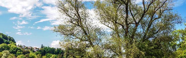 上門龍婿葉辰蕭初然_第2713章 一定不是玄學