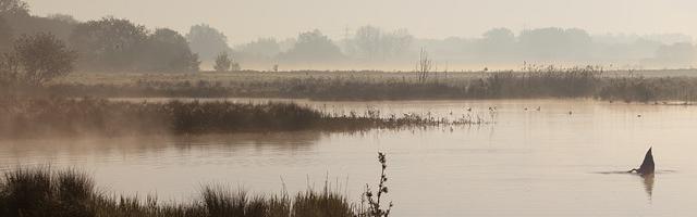上門龍婿葉辰蕭初然_第45章 最幸福的女人