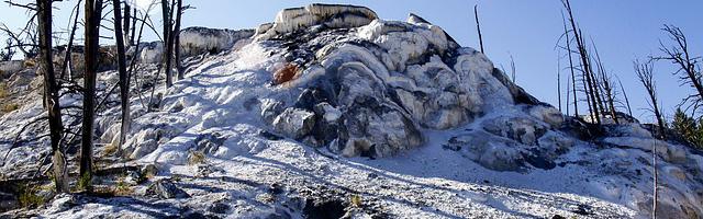 上門龍婿葉辰蕭初然_第139章 葉大師，我就是您的一條狗！