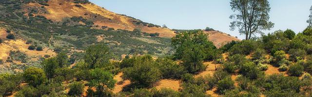 上門龍婿葉辰蕭初然_第3251章 一刀兩斷