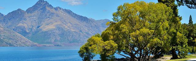 上門龍婿葉辰蕭初然_第1586章 卑躬屈膝