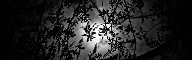 上門龍婿葉辰蕭初然_第654章 請葉大師責罰！